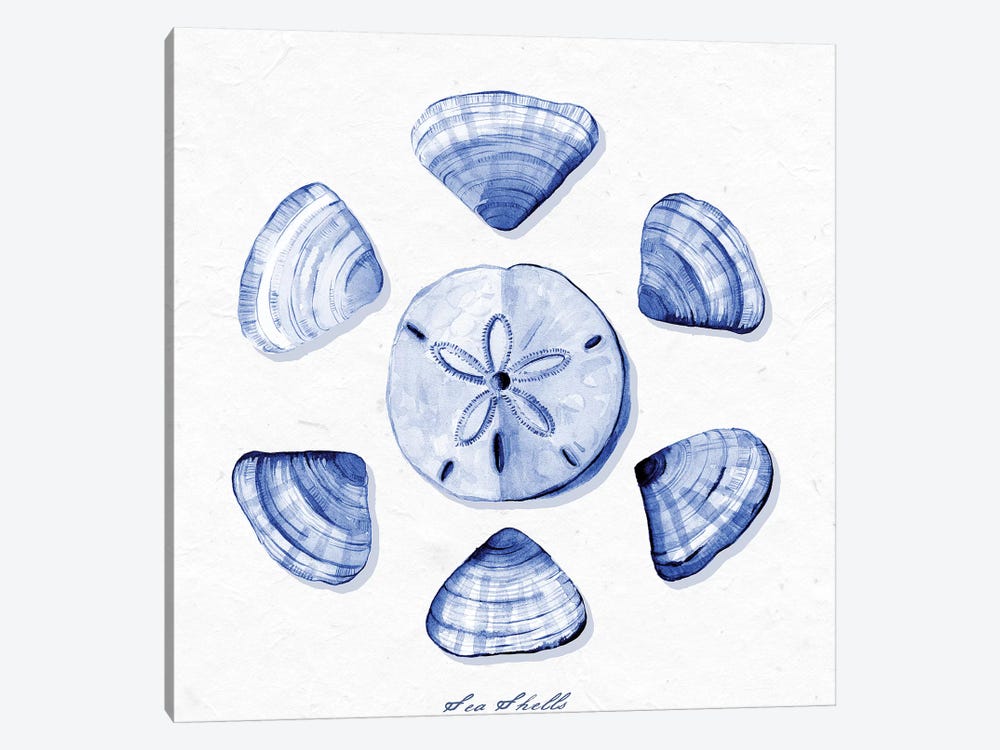 Shell Collection VII by Stephanie Ryan 1-piece Art Print