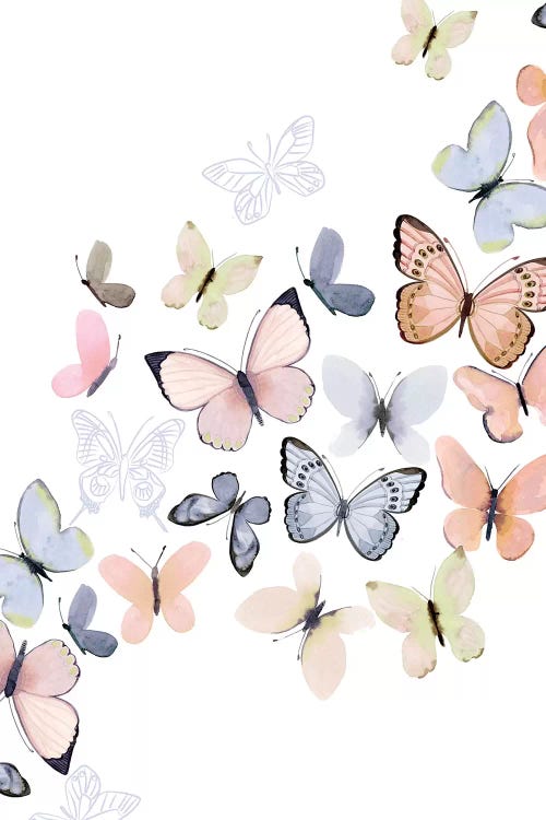 Butterfly Path by Stephanie Ryan wall art