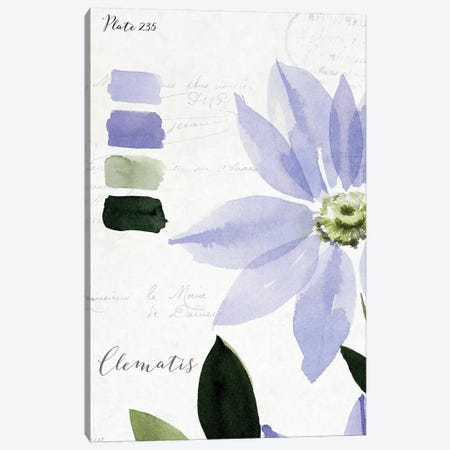 Clematis Canvas Print #SPN48} by Stephanie Ryan Canvas Wall Art