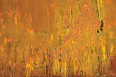 Desert Eagle by Spencer Rogers multi panel art