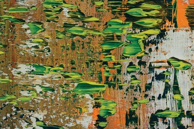 Gimme Shelter by Spencer Rogers canvas print