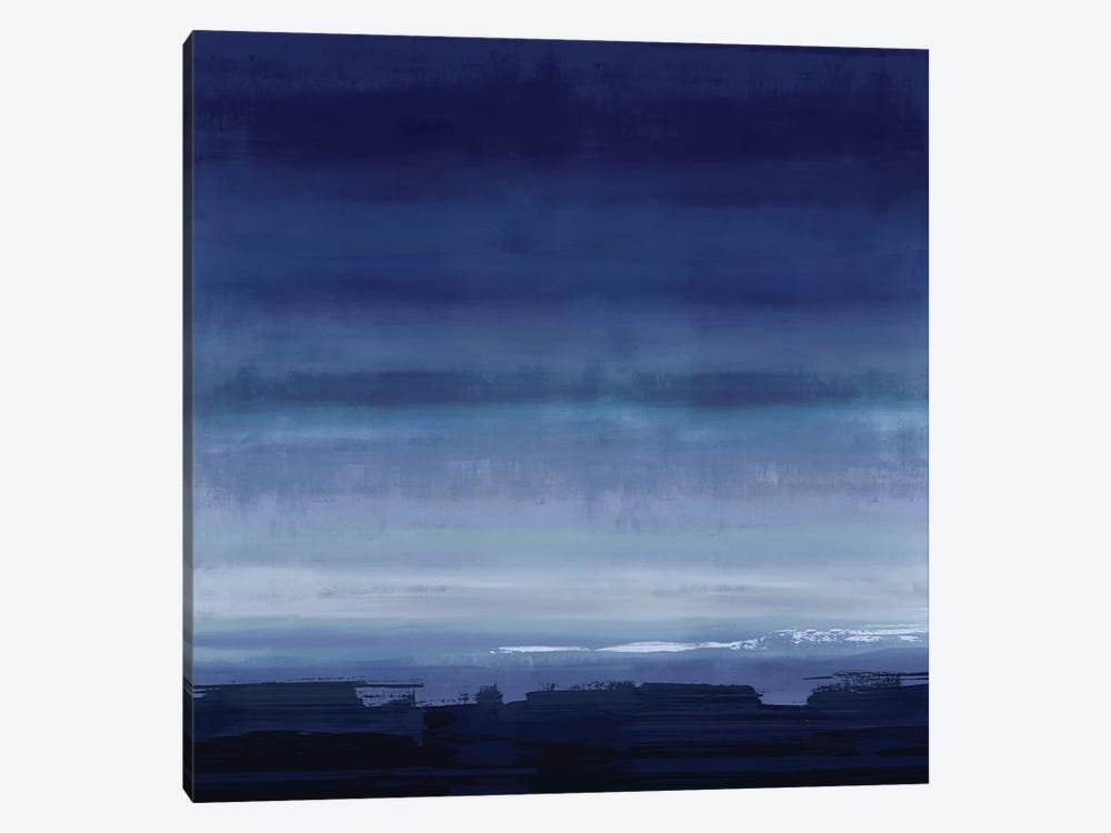 Midnight Blue by Rachel Springer 1-piece Canvas Wall Art