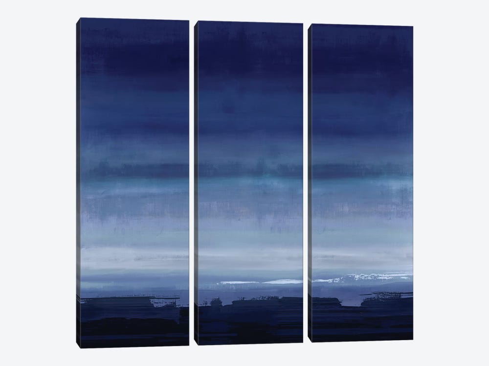 Midnight Blue by Rachel Springer 3-piece Canvas Art