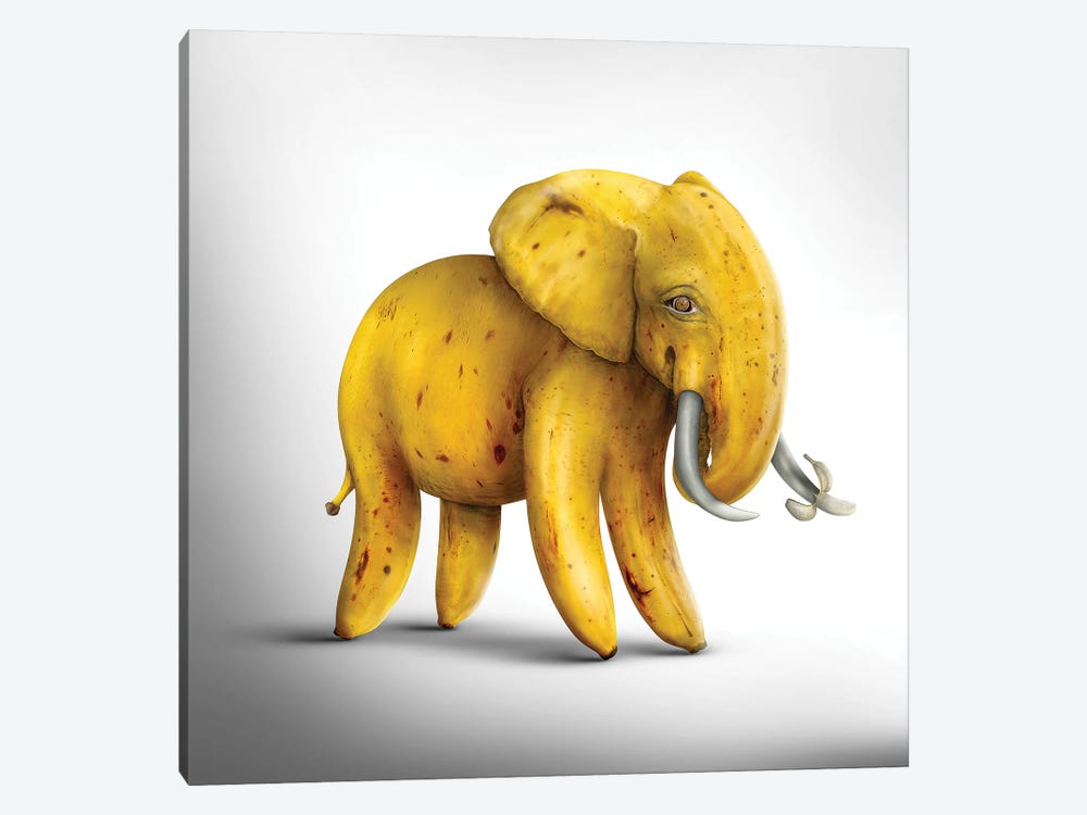Fabuleon: Bananphant by spielsinn design 1-piece Canvas Artwork