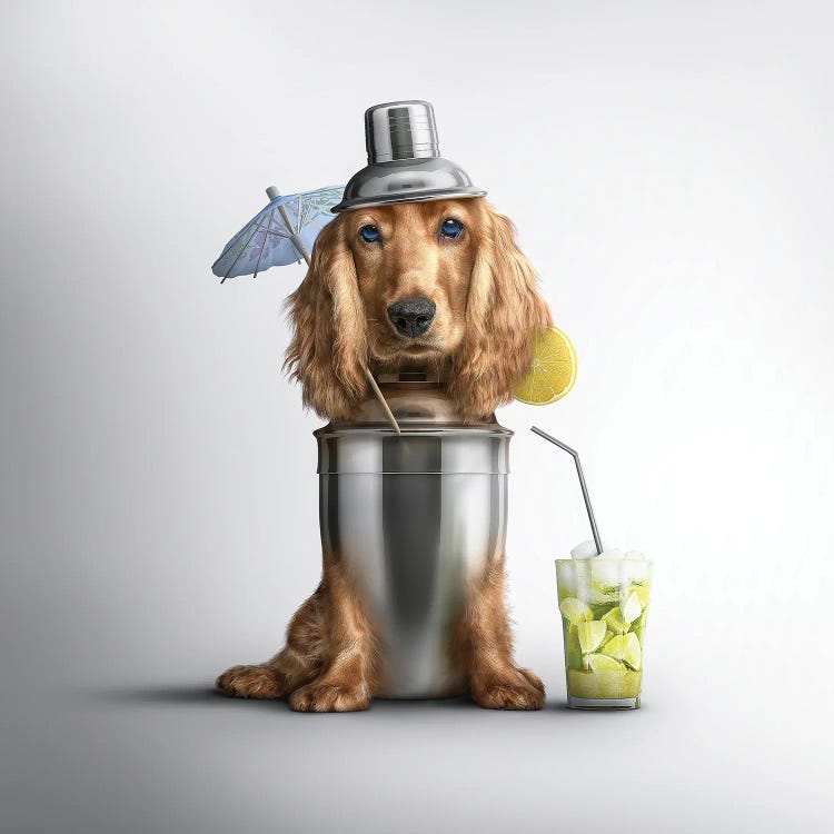 Fabuleon: Cocktail Spaniel