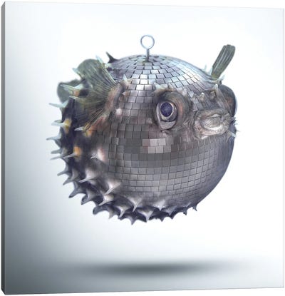 Fabuleon: Mirrorball Fish Canvas Art Print - Funky Art Finds