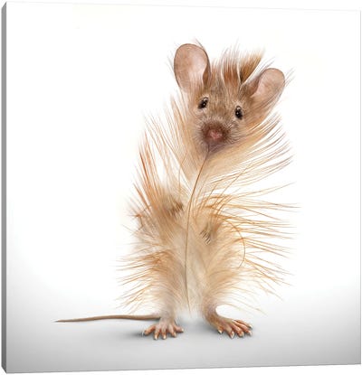 Fabuleon: Feather Mouse Canvas Art Print - Feather Art