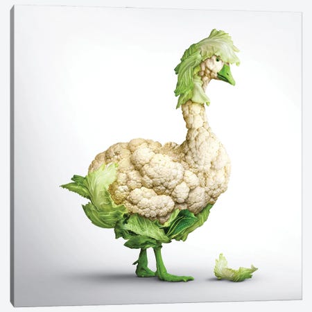 Fabuleon: Goose Cabbage Canvas Print #SPS14} by spielsinn design Art Print