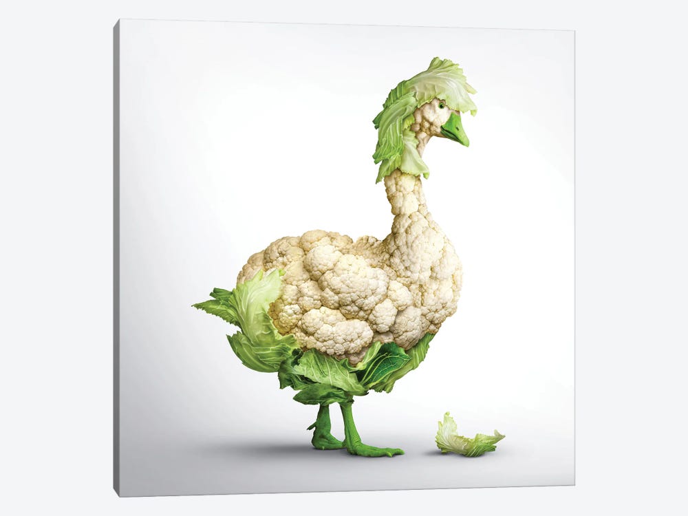 Fabuleon: Goose Cabbage by spielsinn design 1-piece Canvas Art