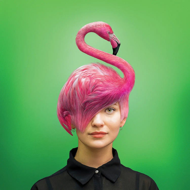 Hairstyle: Flamingo