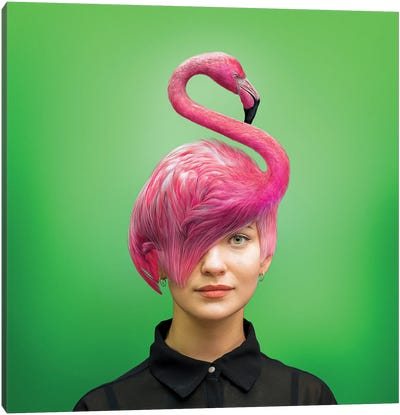 Hairstyle: Flamingo Canvas Art Print - Funky Art Finds