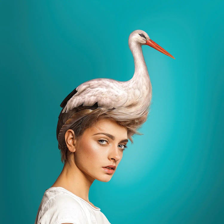 Hairstyle: Stork