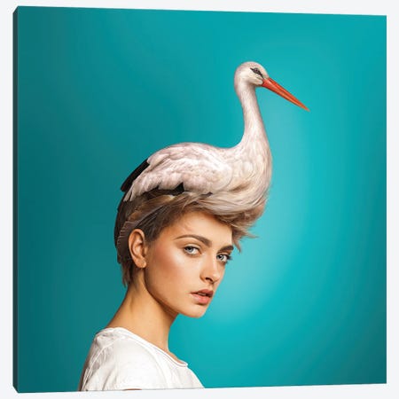 Hairstyle: Stork Canvas Print #SPS20} by spielsinn design Art Print