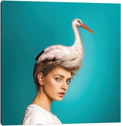 Hairstyle: Stork Canvas Art Print - Funky Art Finds