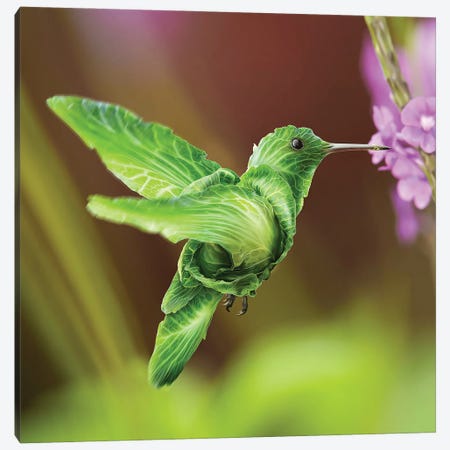 Humming Cabbage Bird Canvas Print #SPS29} by spielsinn design Canvas Print