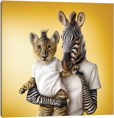Lioncub & Zebra Canvas Art Print - spielsinn design