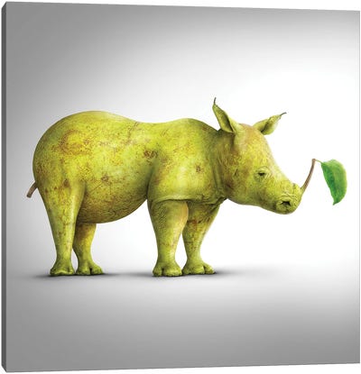 Pearhorn Canvas Art Print - Rhinoceros Art