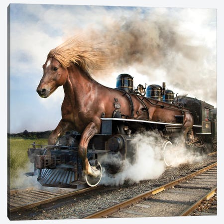 Trainhorse Canvas Print #SPS47} by spielsinn design Canvas Artwork