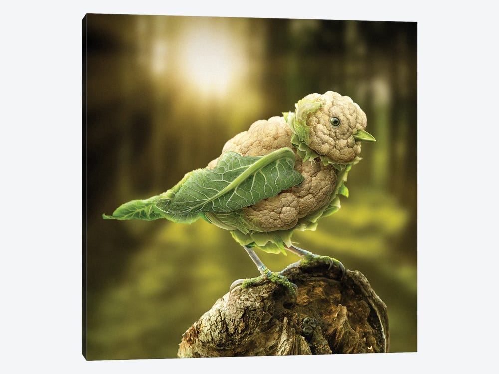 Cauliflower Chickadee by spielsinn design 1-piece Canvas Art Print