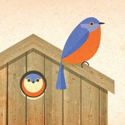 Bluebird House by Scott Partridge metal wall art