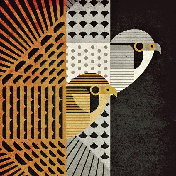 Scott Partridge: Eurasian Kestrels by Scott Partridge