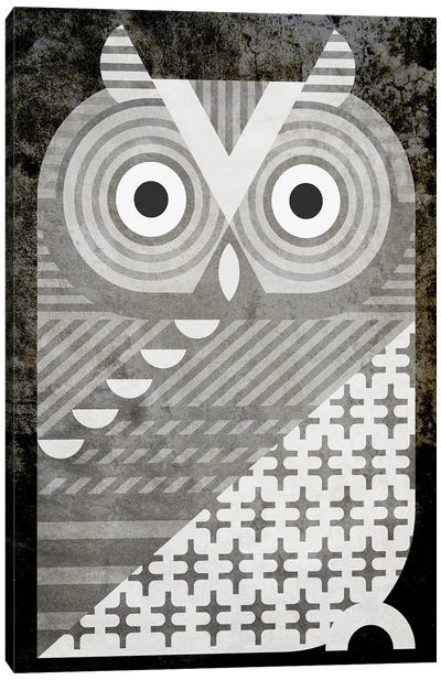 Western Screech Owl Canvas Art Print - Scott Partridge
