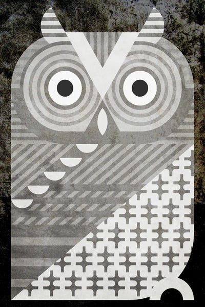 Scott Partridge: Western Screech Owl by Scott Partridge