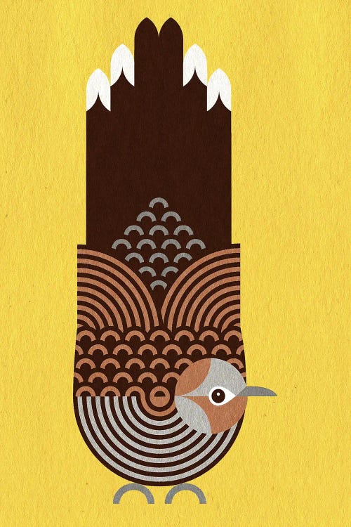 Zebra Dove by Scott Partridge wall art