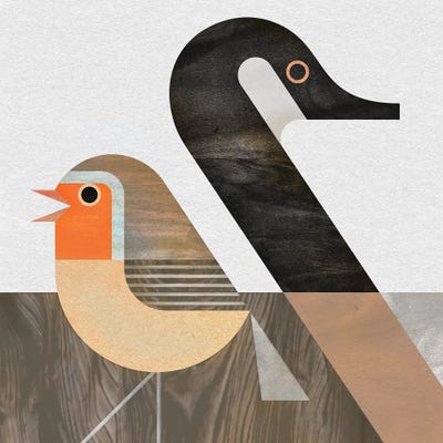 Goose And Robin by Scott Partridge art print