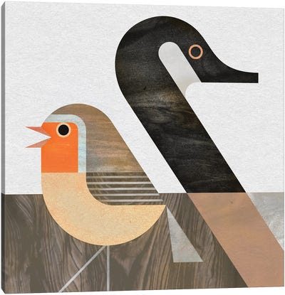 Goose And Robin Canvas Art Print - Robin Art