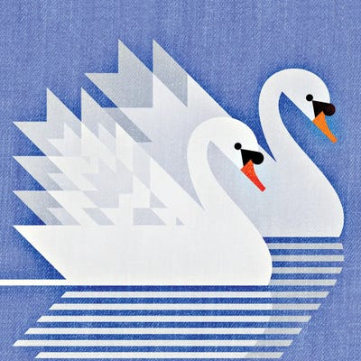 Mute Swans by Scott Partridge metal wall art