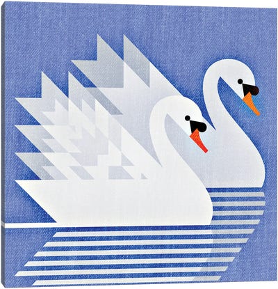 Mute Swans Canvas Art Print - Scott Partridge