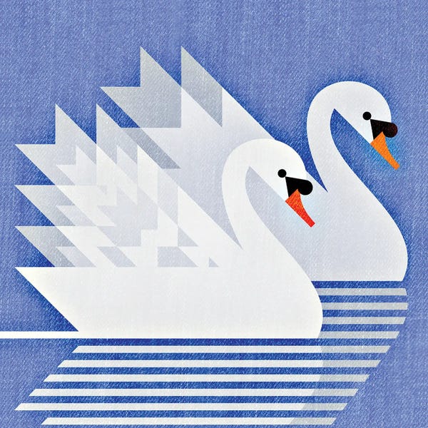Scott Partridge: Mute Swans by Scott Partridge