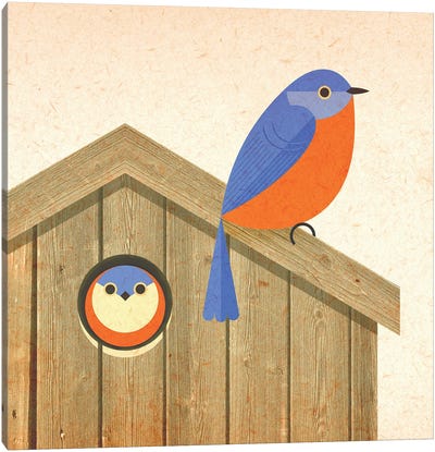 Bluebird House Canvas Art Print - Scott Partridge