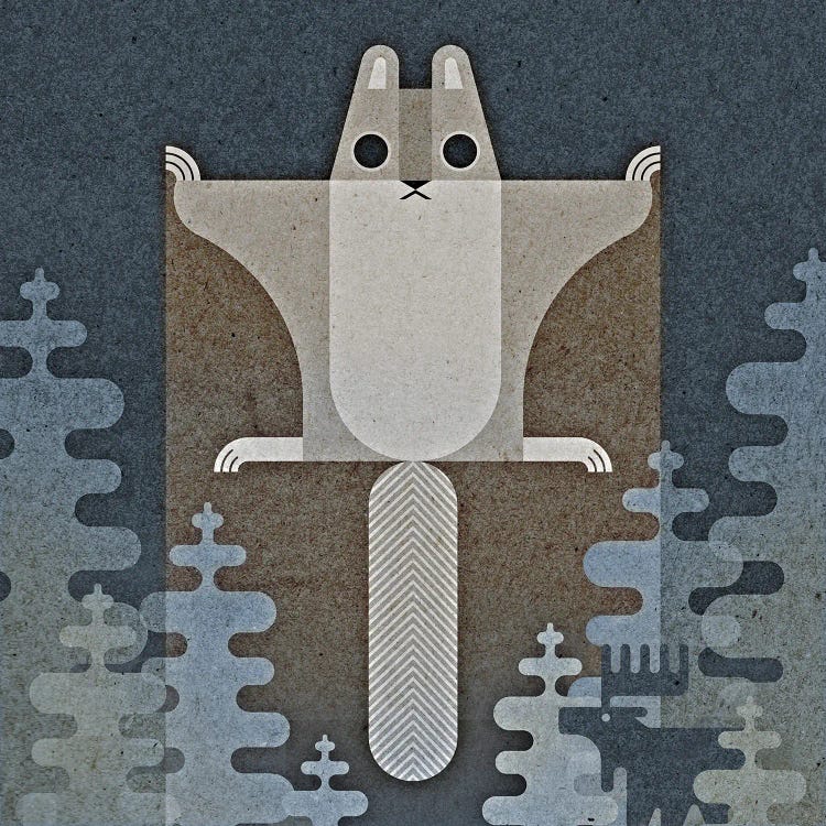 Flying Squirrel by Scott Partridge wall art