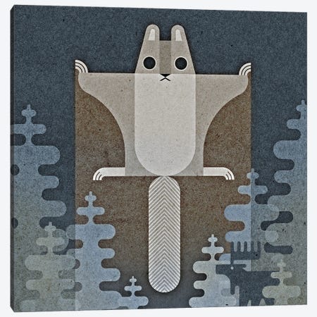 Flying Squirrel Canvas Print #SPT114} by Scott Partridge Canvas Art Print