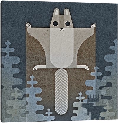 Flying Squirrel Canvas Art Print - Rodent Art