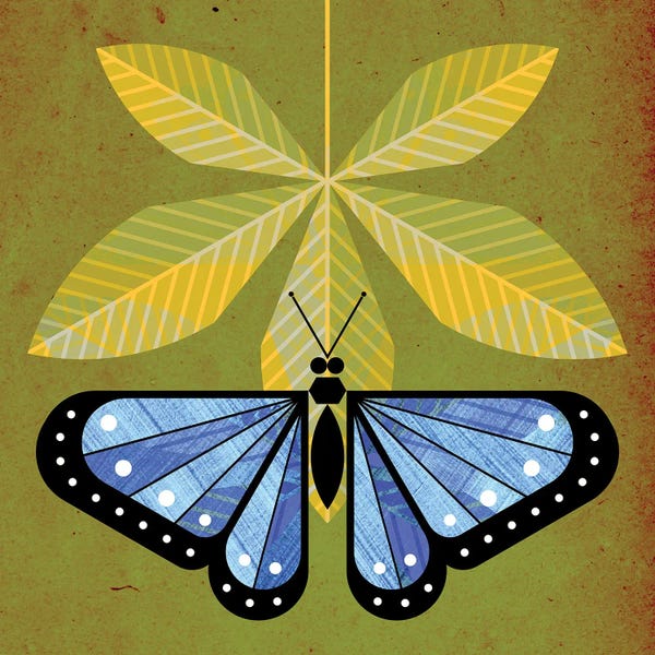 Scott Partridge: Morpho by Scott Partridge