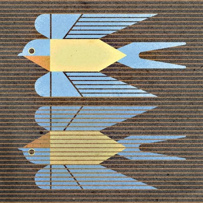 Barn Swallow by Scott Partridge framed canvas print