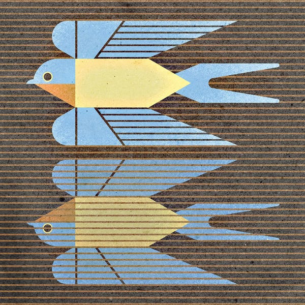 Scott Partridge: Barn Swallow by Scott Partridge
