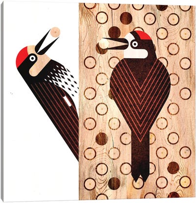 Acorn Woodpecker Canvas Art Print - Woodpecker Art