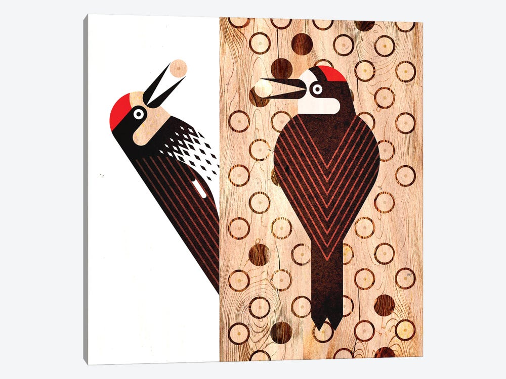 Acorn Woodpecker by Scott Partridge 1-piece Canvas Wall Art