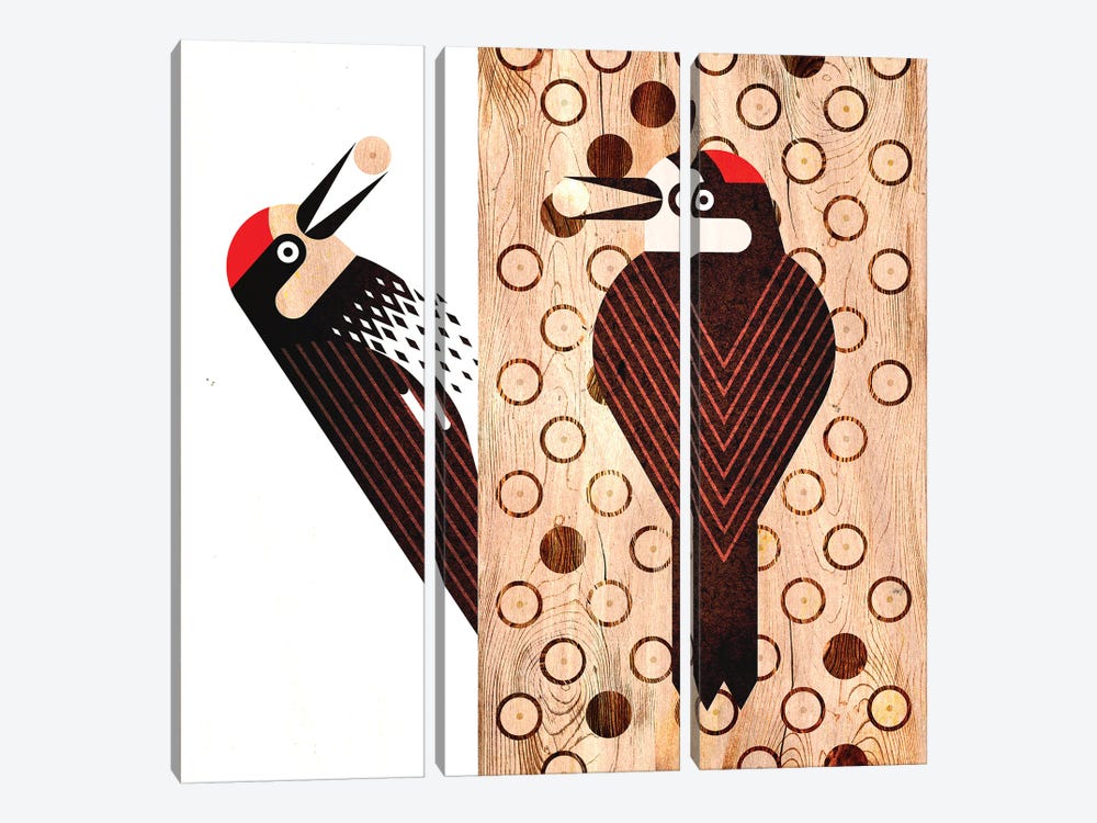 Acorn Woodpecker by Scott Partridge 3-piece Canvas Art