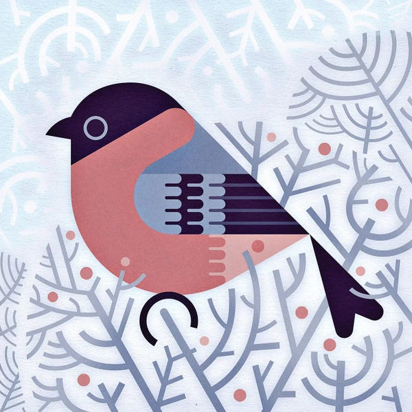 Scott Partridge: Bullfinch by Scott Partridge