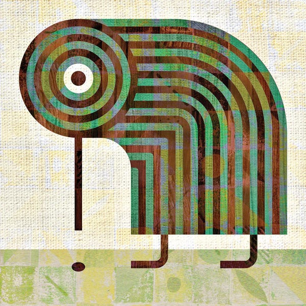 Oceanian Culture: Kiwi by Scott Partridge