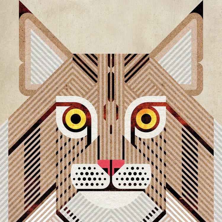 Bobcat