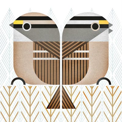 White-Throated Sparrow by Scott Partridge art print