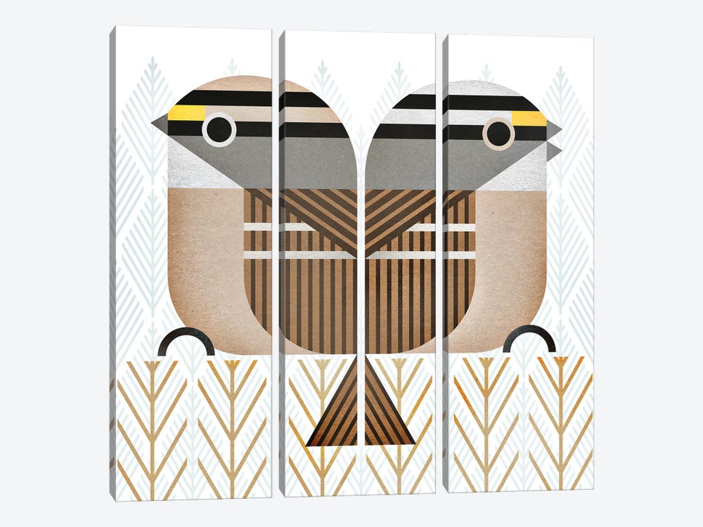 White-Throated Sparrow by Scott Partridge 3-piece Canvas Wall Art