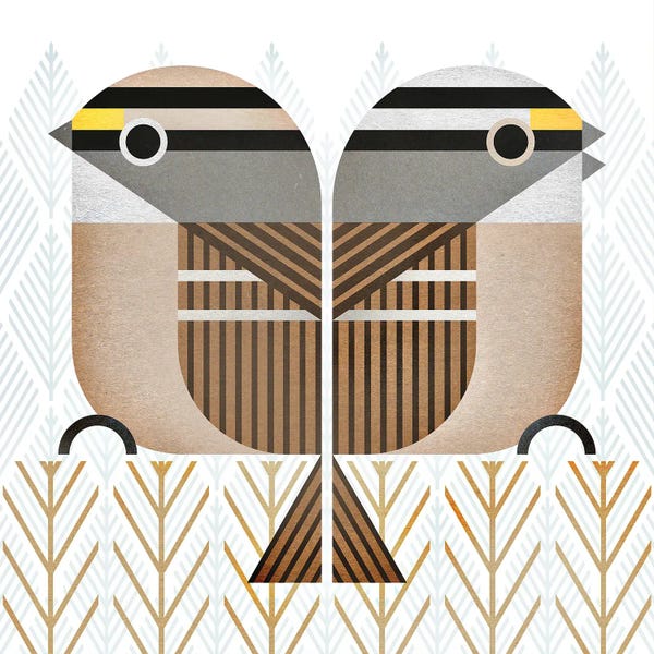 Sparrows: White-Throated Sparrow by Scott Partridge