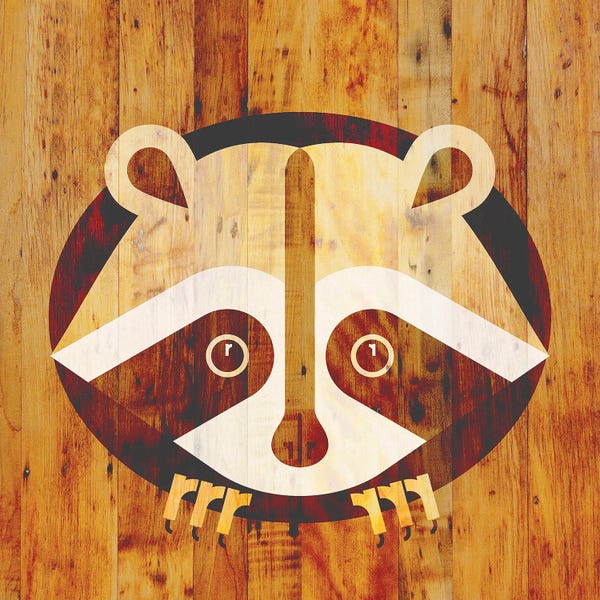 Scott Partridge: Raccoon by Scott Partridge